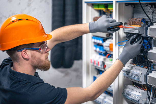 Best Electric Panel Repair  in Johnston, IA